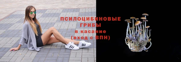 дурь Медвежьегорск