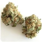 Шишки "White Widow"  (Белая вдова)  Гидропоника -  Бошка VHQ в Невеле